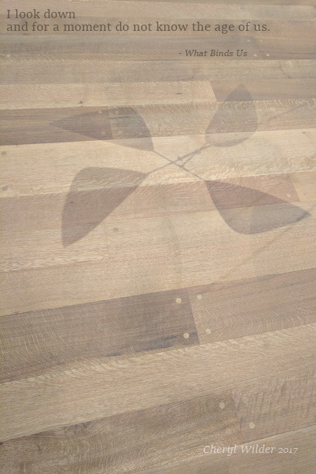 shadow of mobile on hardwood floor
