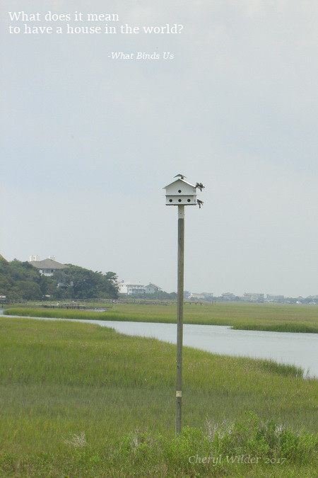 birdhouse over marshland with three birds